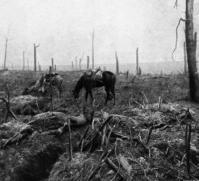 Cavalo pasta em uma antiga terra de ninguém conquistada pelos franceses em 1916. Crédito: Reprodução.