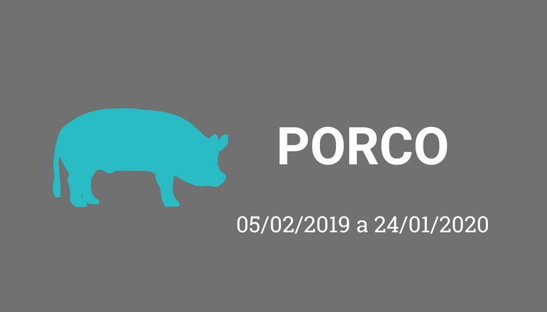 Arte com fundo cinza e os escritos em branco “porco. 05/02/2019 a 24/01/2020”. No lado esquerdo há o desenho de um porco, pintado de azul. 