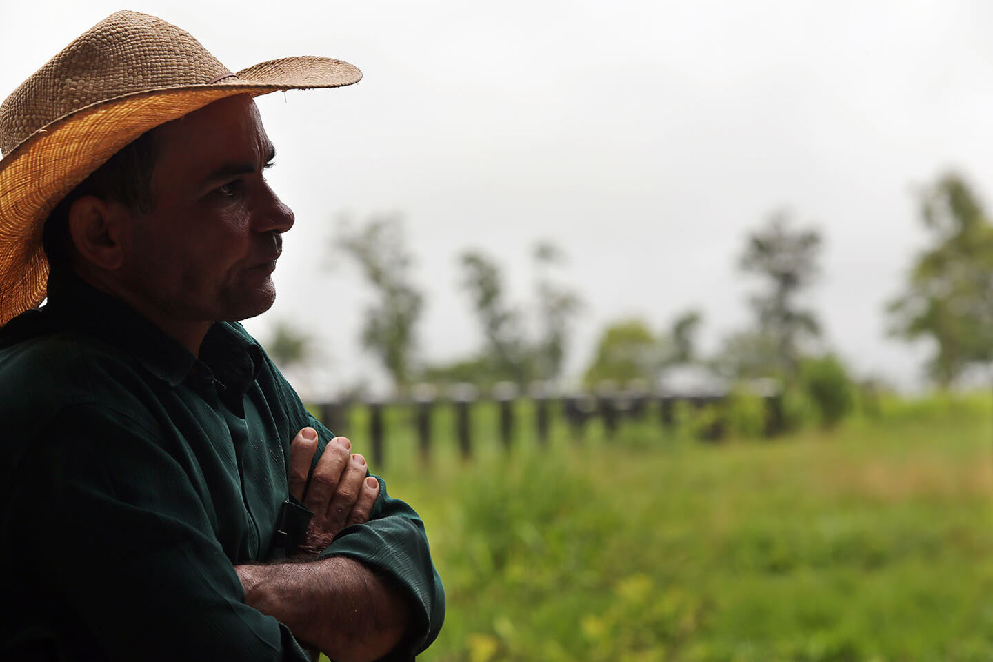 Chuva de veneno – Estadão