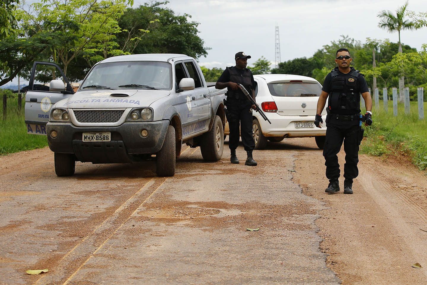 Chuva de veneno – Estadão